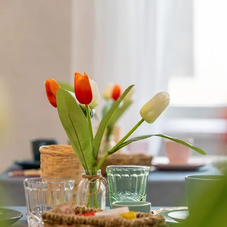 Matteotti 57 Bed & Breakfast Civitavecchia